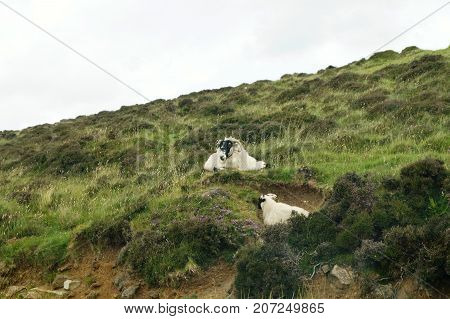 Landscape views of the Isle of Skye in Scotland, UK