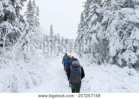 Group of some people on winter hike in mountains, backpackers walking on snowy forest in Taiga.