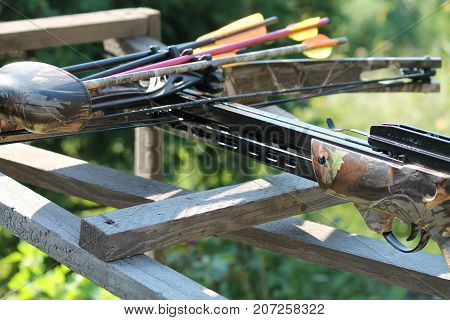 Crossbow, weapons producing boom.crossbow resting on tree trunk in autumn woods