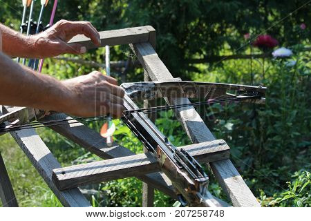 Crossbow, weapons producing boom.crossbow resting on tree trunk in autumn woods