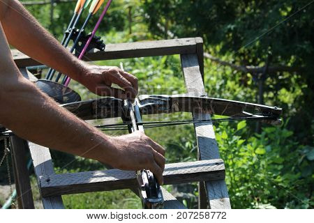 Crossbow, weapons producing boom.crossbow resting on tree trunk in autumn woods