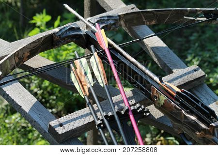 Crossbow, weapons producing boom.crossbow resting on tree trunk in autumn woods