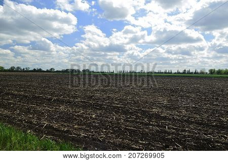 Korolyovka (Korolivka village) - village, Nikolaevsky village council, Novomoskovsk district, Dnepropetrovsk region, Ukraine.