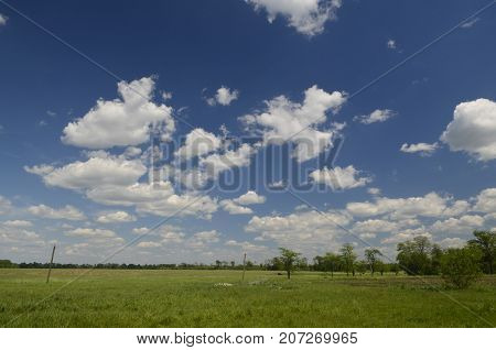 Korolyovka (Korolivka village) - village, Nikolaevsky village council, Novomoskovsk district, Dnepropetrovsk region, Ukraine.
