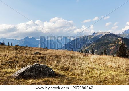Mountain autumn valley stream landscape background. Fall time