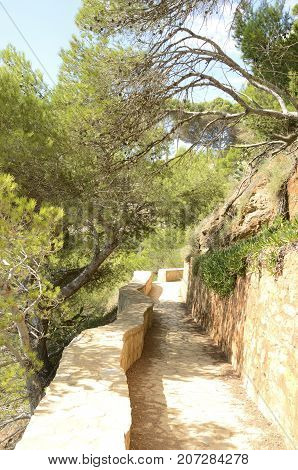 Pleasant walk around the cliffs among pine trees in Sa Riera Begur Costa Brava Catalonia northeastern Spain.