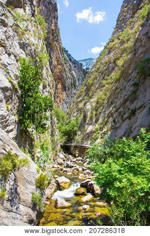 Mountains And Forest - Beautiful Landscape Of Sapadere Canyon