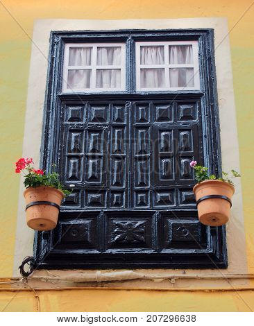 plack painted shuttered window with plants in pots on a yellow wall