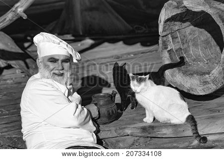 Bearded Cook With Kettle And Cats
