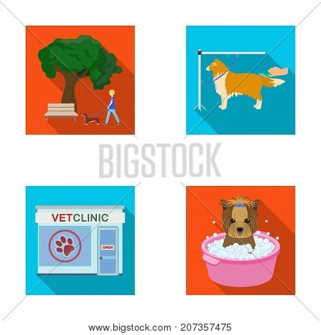 Walking with a dog in the park, combing a dog, a veterinarian's office, bathing a pet. Vet clinic and pet care set collection icons in flat style vector symbol stock illustration .