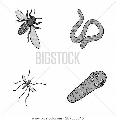 Arthropods insect mosquito, bee.Earth worm, caterpillar, vermicular set collection icons in monochrome style vector symbol stock isometric illustration .