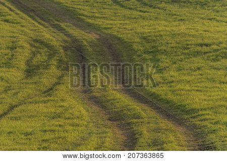 Path and field in color evening in Slavkovsky les national park in autumn time