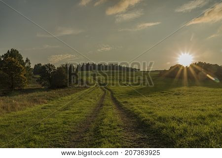 Path and field in color evening in Slavkovsky les national park in autumn time