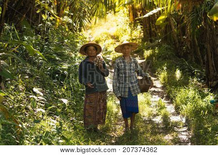 The story of rural people way of life Karen is with nature on the jungle.