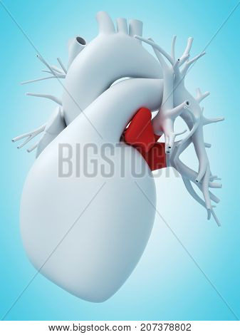 3d rendered medically accurate illustration of the left atrium