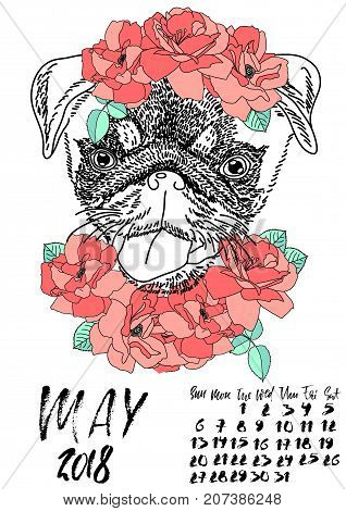 Calendar with dry brush lettering. May 2018. Dog with wreath of red flowers and green leaves. Cute pug portrait. Vector illustration.