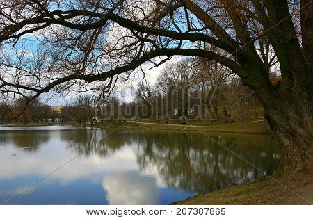 spring landscape trees in Loshice Old park of the estate Minsk Belarus autumn