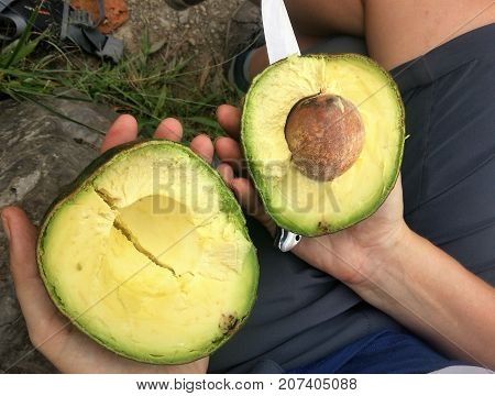 Avocado cut in two half with knife