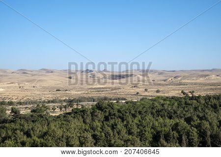 Yeruham Park in the Negev Desert (Israel)