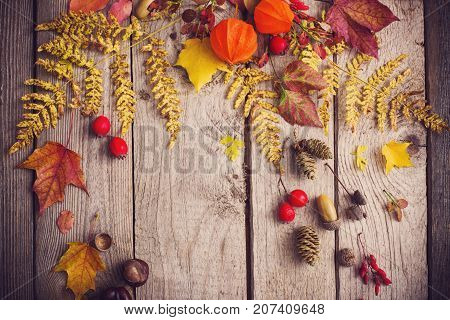 red berriaes and autumn leaves on old wooden background
