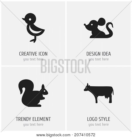 Set Of 4 Editable Zoology Icons. Includes Symbols Such As Kine, Bird, Rat And More