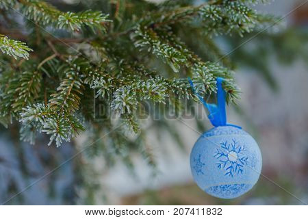 A Blue Fur-tree Toy On A Branch Of Blue Fir-tree Blue, Green, White, Colorado Blue Spruce, Picea Pun