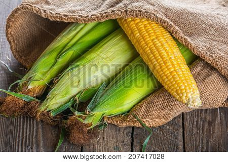 Corn Cobs