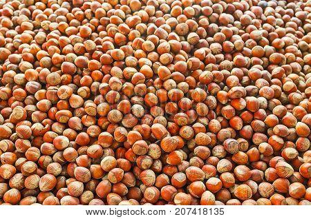 Chestnuts In Antalya Market