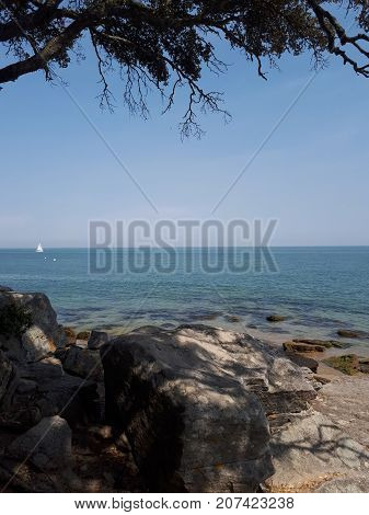Ladies Beach with tree and rocks, Noirmoutier Island, France