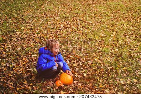 little boy holding pumpin in autumn nature, halloween celebration