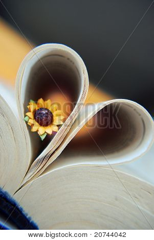 Hart boek