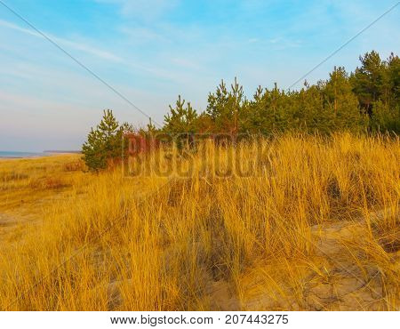 View of the beach on the shore of the Gulf of Riga in Vecaki.Baltic Sea Latvia Europe