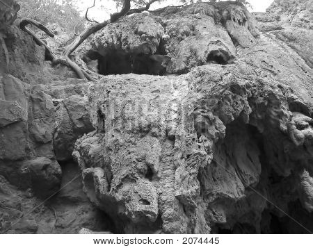 Fossil Creek Az skøre klipper