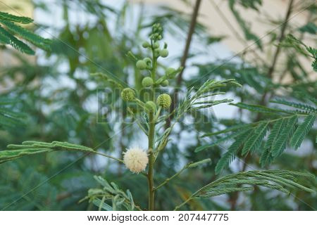 Beautiful landscape of Crete, sea and mountain.