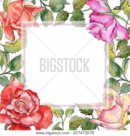Wildflower rose flower frame in a watercolor style. Full name of the plant: rose. Aquarelle wild flower for background, texture, wrapper pattern, frame or border.