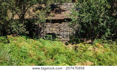 Closeup of vintage old watermill lost in the forest