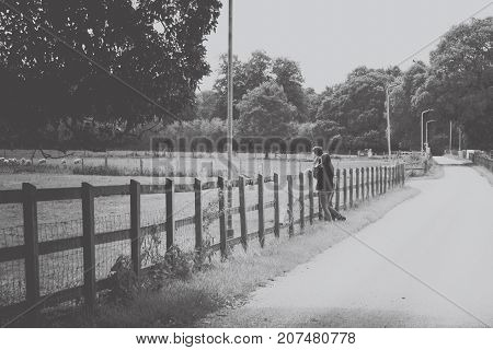 father and daugther enjoying the view in a field with cows next to Lackham Collegein Lacock Somerset EnglandEurope. Photo in black and white.Young teenager taking pictures with her phone.