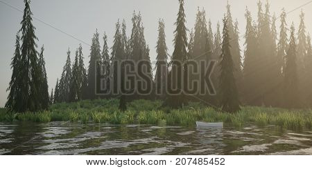 3d rendering of a morning fir forest landscape
