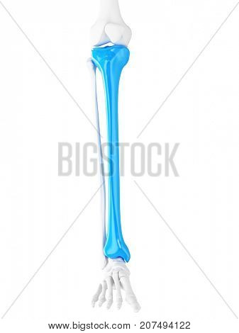 3d Rendered Medically Image & Photo (Free Trial) | Bigstock