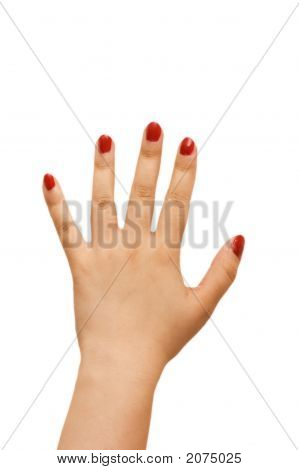 흰 배경에 고립 제기 손