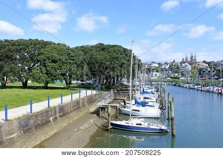 Sail Boats Mooring In Wairau Creek In Milford Auckland