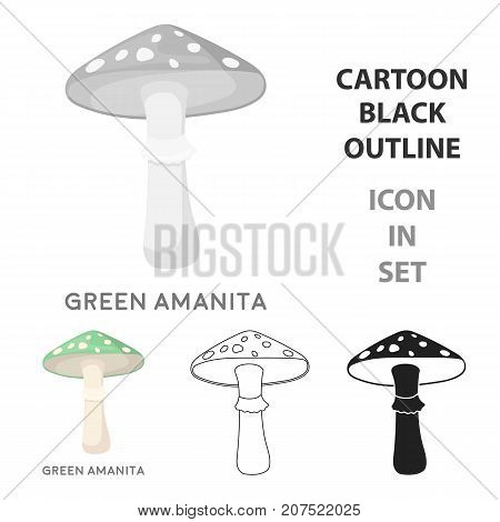 Green amanita icon in cartoon style isolated on white background. Mushroom symbol vector illustration.