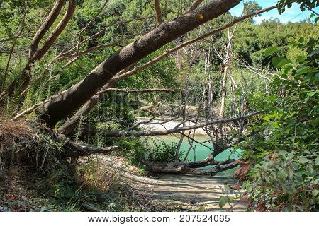 Trail to the river In Gliki Park, at the springs of the Aheron River, Greece.