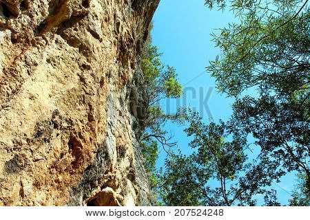 Rock and olive trees against the sky In Gliki Park, at the springs of the Aheron River, Greece.