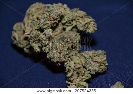 Bugatti OG is an indica dominant hybrid medical cannabis  strain