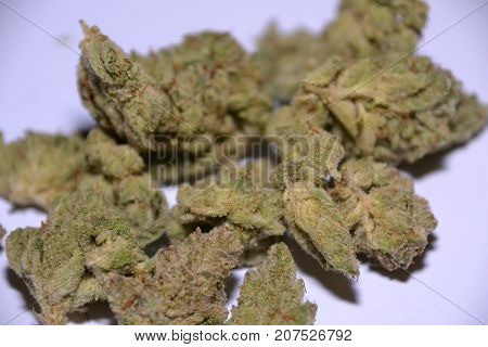 monster glue is an indica cannabis strain