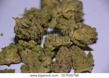 monster glue is an indica cannabis strain