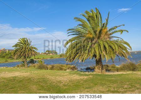 Waterfront park at the coast of Montevideo city Uruguay