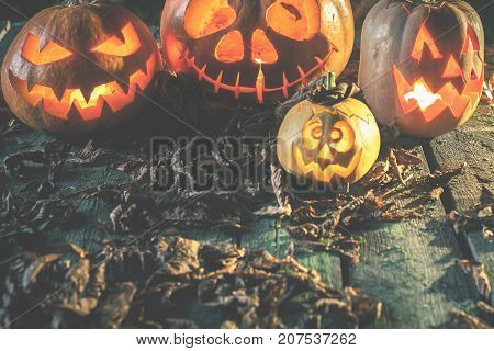 Halloween pumpkins at wood background. Carved scary faces of pumpkin. Night horror. October holiday. Pumpkin family