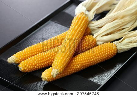 popcorn on the cob, yellow dent corn